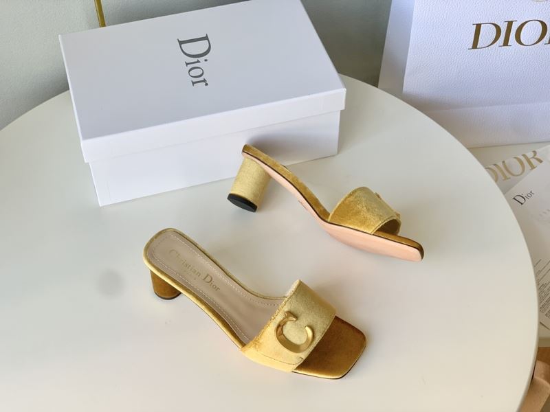 Christian Dior Slippers